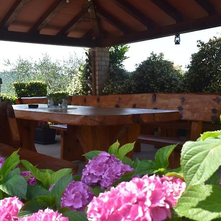 Apartman Fachin Motovun Exterior foto